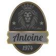 Antrasiitti