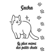Kissa
