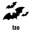Lepakko