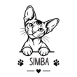 Sphynx