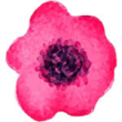 Unikko