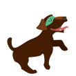 Koira3