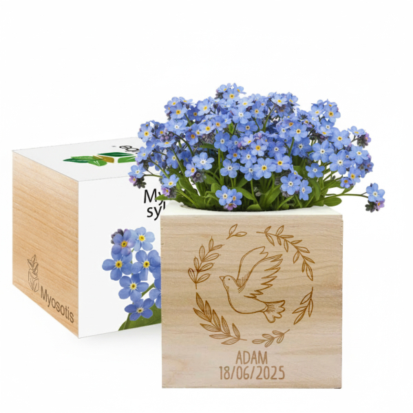 EcoCube kaiverrettu kyyhky kaste
