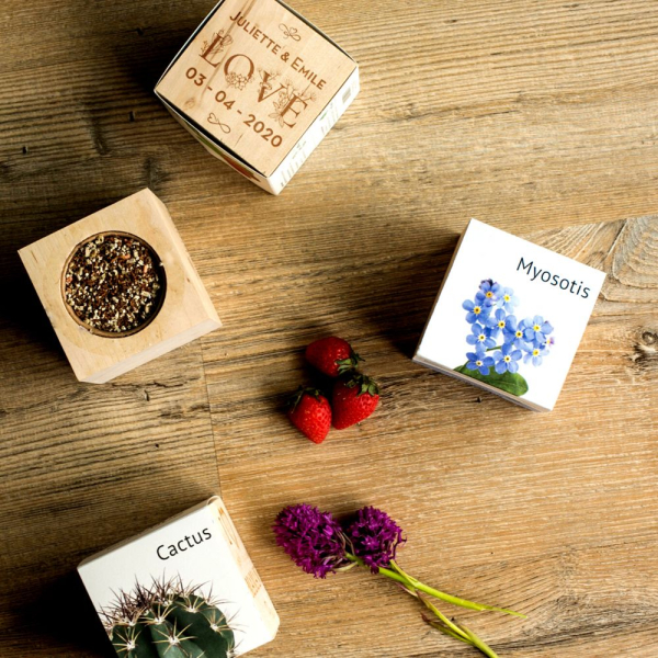 EcoCube r&auml;&auml;t&auml;l&ouml;ity Rakkaus