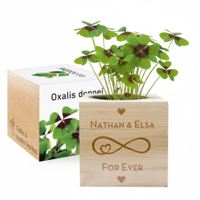 EcoCube r��t�l�ity Rakkaus
