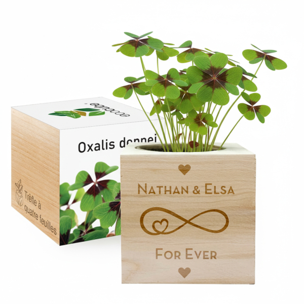 EcoCube r&auml;&auml;t&auml;l&ouml;ity Rakkaus