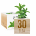 EcoCube r&auml;&auml;t&auml;l&ouml;ity syntym&auml;p&auml;iv&auml;