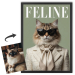 FELINE-lehden kansi valokuvasta FELINE-lehden kansi valokuvasta