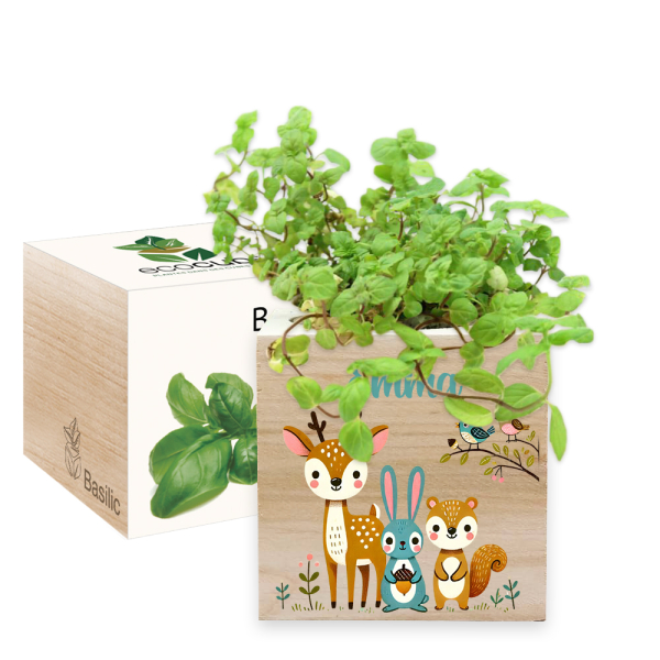 Painettu EcoCube lumottu mets&auml;
