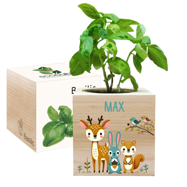 Painettu EcoCube lumottu mets&auml;