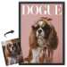 DOGUE-lehden kansi valokuvasta DOGUE-lehden kansi valokuvasta